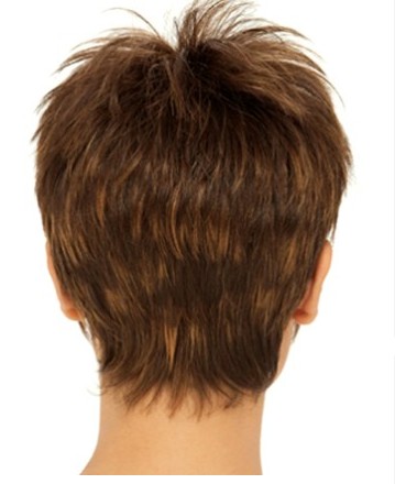 Short Length With Closout Style Synthetic Wig