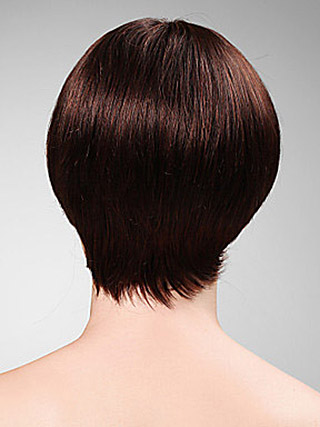 Short Straight Capless Synthetic Wig