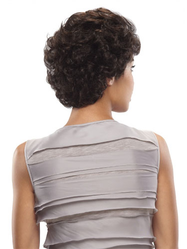 Human Hair Capless Short Curly Wig