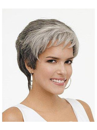 Rounded Fringe wavy Lace Front Grey Wig - Click Image to Close