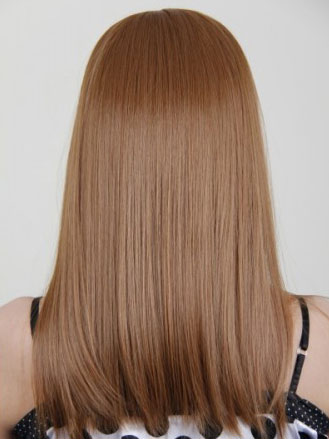 Straight Remy Human Hair Wig